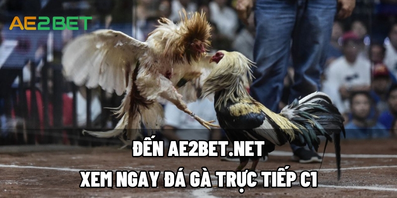 da ga truc tiep c1 ae2bet.net